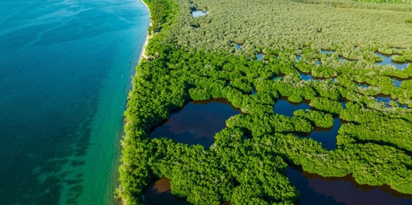 30x30: ¿Cuánto le costará a América Latina y el Caribe alcanzarlo?