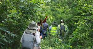 Diario HOY | Instalan la primera parcela de monitoreo científico en el Cerro Chovoreca