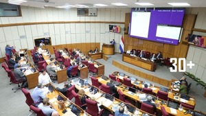 Cámara de Senadores aprobó acuerdo SOFA entre Estados Unidos y Paraguay - trece