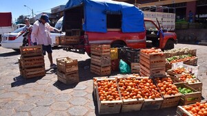 Importan 1,4 millones de kilos de tomate y bajan los precios
