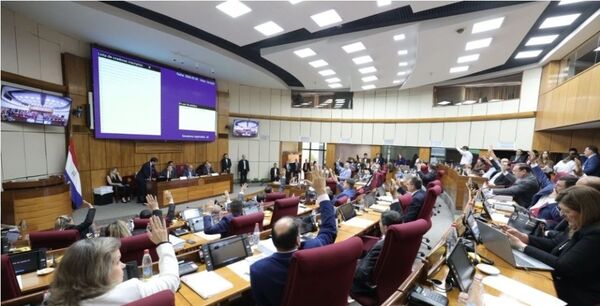 Senado aprueba que MDS administre Hambre Cero en Concepción y Alto Paraná - Concepción al Día