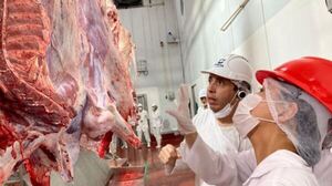 Paraguay: exportación de carne ingresó USD 287,9 millones al cierre de febrero