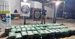 La Nación / Senad incauta más de una tonelada de marihuana valorada en casi USD 500.000