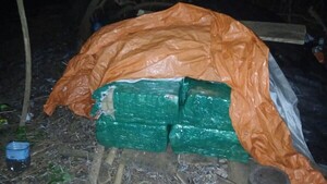 Senad incauta más de una tonelada de marihuana en Ñeembucú