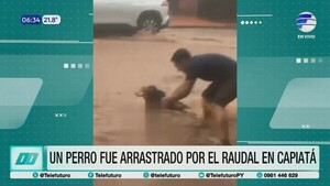 Comerciante héroe rescata a un perro arrastrado por el raudal en Capiatá
