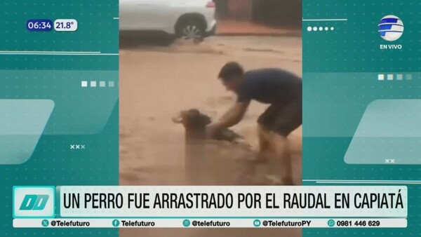 Comerciante héroe rescata a un perro arrastrado por el raudal en Capiatá