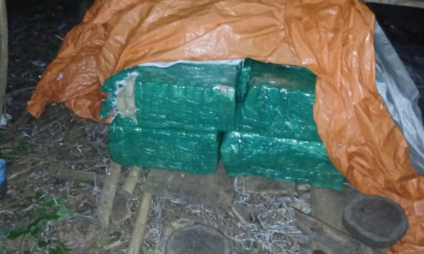 Incautan más de una tonelada de marihuana en Ñeembucú lista para cruzar a Argentina - OviedoPress
