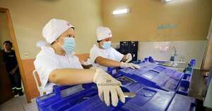 La Nación / Hambre Cero: deuda con proveedoras será cancelada esta quincena, dice ministro