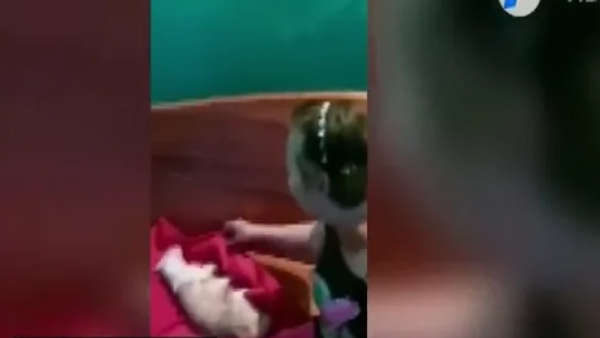 Condenan a funcionario de la Fiscalía que arrolló a un gato a propósito