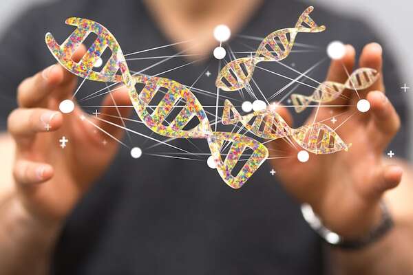 Evo 2: la gran innovación en IA para descifrar el código de la vida - Ciencia - ABC Color