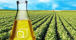 La Nación / Industria de biodiésel proyecta aumentar mezcla hasta un 20 %