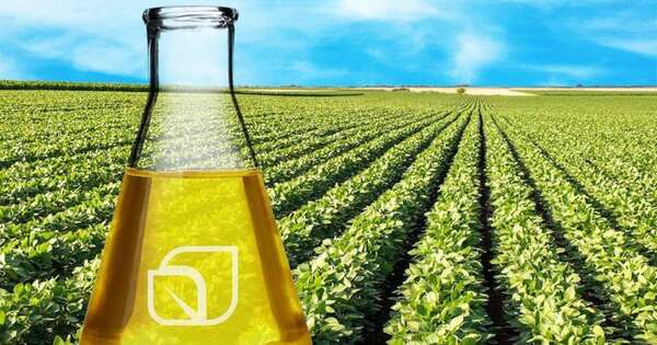 La Nación / Industria de biodiésel proyecta aumentar mezcla hasta un 20 %