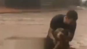 Sergio, el héroe que salvó a Tomy, un perrito de 15 años arrastrado por el raudal