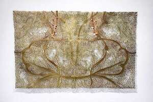 Naturaleza, fe y sincretismo en “Selva Celestial”, la muestra de Andrés Paredes en BGN/ARTE - Artes Plásticas - ABC Color