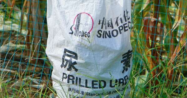 Energía verde y fertilizantes traerá USD 220 millones