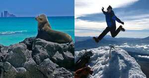 La Nación / Ecuador: el país de los cuatro mundos que quiere conquistar al paraguayo