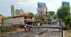 Diario HOY | Activan plan para evitar que más árboles caigan en Asunción