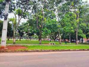 Cables sueltos en vereda de plaza generan preocupación en Los Nogales » San Lorenzo PY