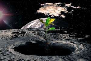 Agricultura extraterrestre: ¿garbanzos en suelo lunar y microbios que sobreviven en Marte? - Ciencia - ABC Color