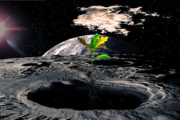 Agricultura extraterrestre: ¿garbanzos en suelo lunar y microbios que sobreviven en Marte? - Ciencia - ABC Color