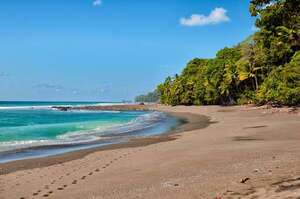 Explorá la Península de Osa: el corazón salvaje de Costa Rica - Viajes - ABC Color