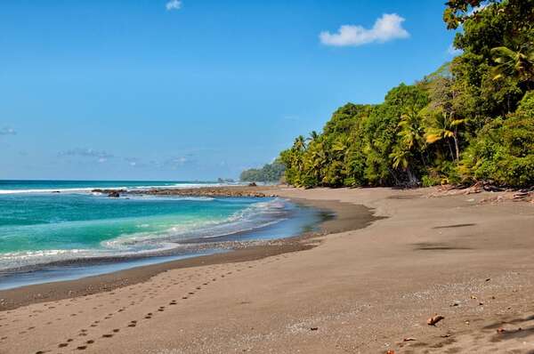 Explorá la Península de Osa: el corazón salvaje de Costa Rica - Viajes - ABC Color