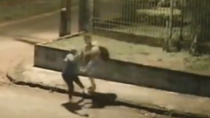 Atacó a una mujer para robarle, pero ella se defendió y le pegó con su termo