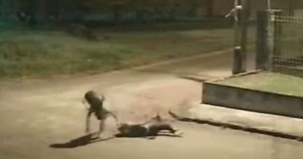 La Nación / Violento asalto en Ñemby: mujer fue golpeada y arrastrada por delincuente