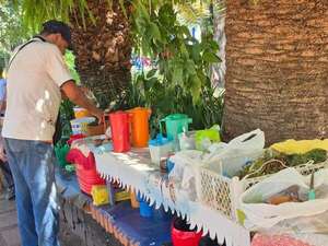 Ruta del Tereré: este sábado ofrecerán tereré gratuito en Encarnación - Nacionales - ABC Color