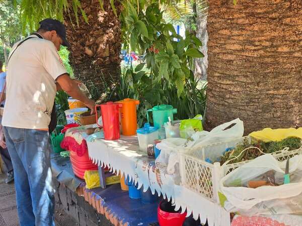 Ruta del Tereré: este sábado ofrecerán tereré gratuito en Encarnación - Nacionales - ABC Color