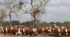 La Nación / CPC señala que el 75 % de los precios internacionales se quedan en el campo