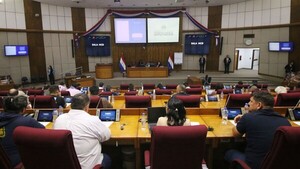 Gremios insisten en derogar decretos de tarifas de ANDE