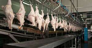 La Nación / Baja en envíos de carne aviar obedece al aumento del consumo local y al precio del dólar