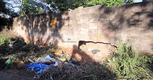 Diario HOY | Caída de árboles genera retrasos en recolección de basura