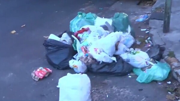 Dos semanas sin recolección de basura en el barrio Ciudad Nueva: “El olor ya es insoportable”