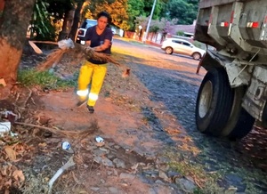 Por culpa de los árboles caídos, Asunción está invadida de basura, dicen - ADN Digital