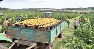 La huella productiva que transformó el agro paraguayo