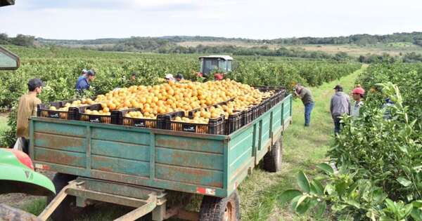 La huella productiva que transformó el agro paraguayo
