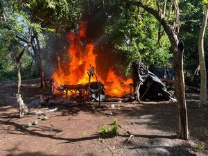 OPERATIVO «ESCUDO GUARANÍ»: DESTRUYEN 135.000 KG DE MARIHUANA EN AMAMBAY