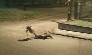 Popular / Delincuente atacó a trabajadora, la golpeó y la arrastró para robarle