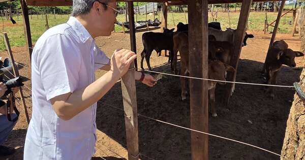 Diario HOY | Embajador de Taiwán visita a los pequeños productores de leche en San Pedro