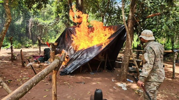 SENAD desmantela campamentos y destruyen 15 toneladas de marihuana