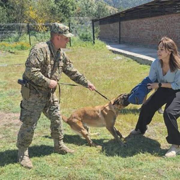 Pabla Thomen prepara un nuevo libro de perros