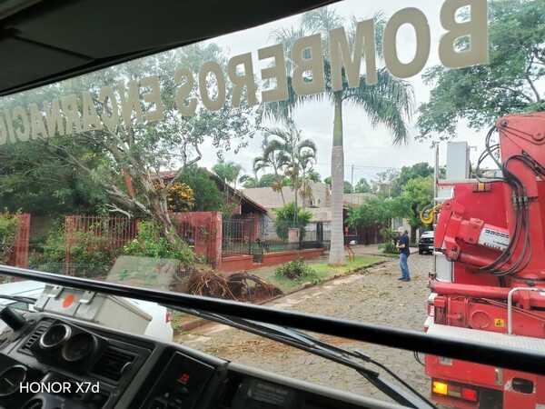 Temporal provoca caída de árboles y múltiples intervenciones de bomberos en Encarnación