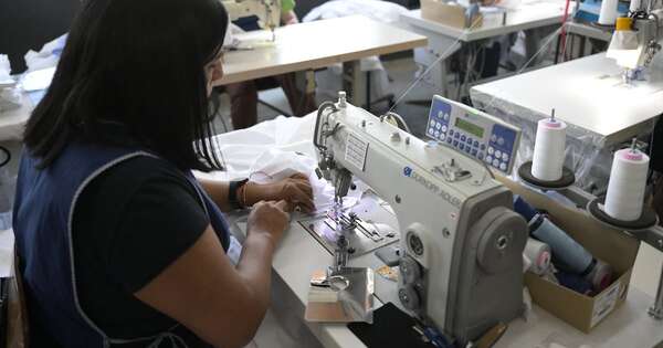 La Nación / Sector textil paraguayo crece y se posiciona en la región
