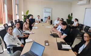 Hospital Albert Einstein de Brasil capacita a profesionales del Hospital de Itauguá en gestión de salud pública - El Trueno