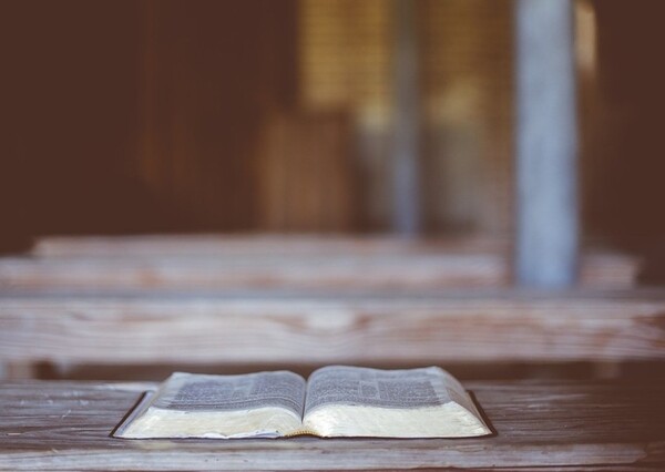 "...Por las palabras de la mujer..."