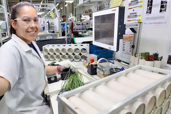 8M: El 60,8% de las mujeres participa en el mercado laboral - Economía - ABC Color