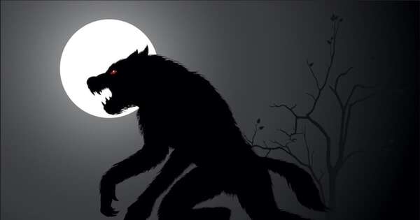 La Nación / Therians o licántropos, esa es la cuestión