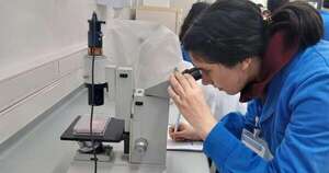 La Nación / Ofrecen oportunidades de formación en biotecnología